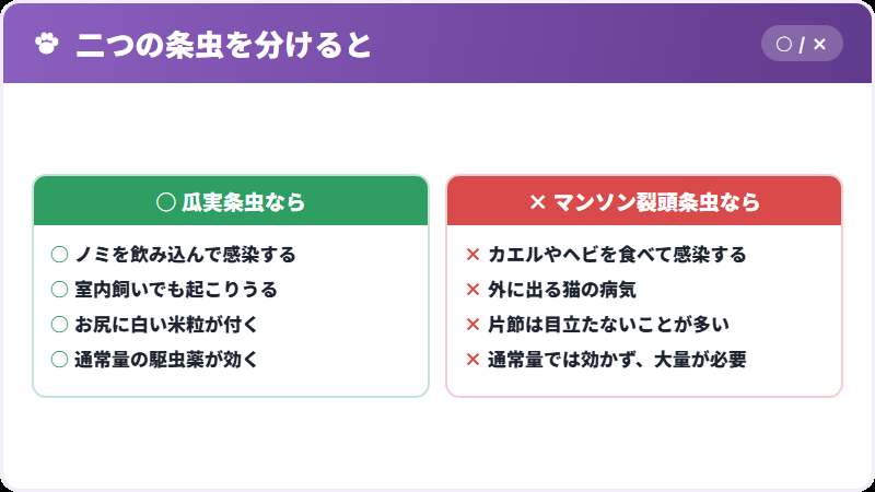 瓜実条虫との違い