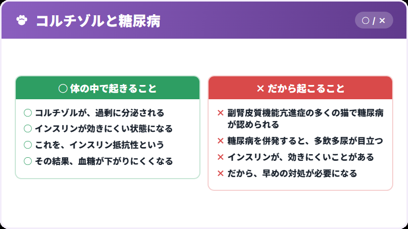 糖尿病とのつながり
