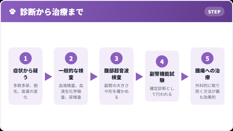 診断の流れ