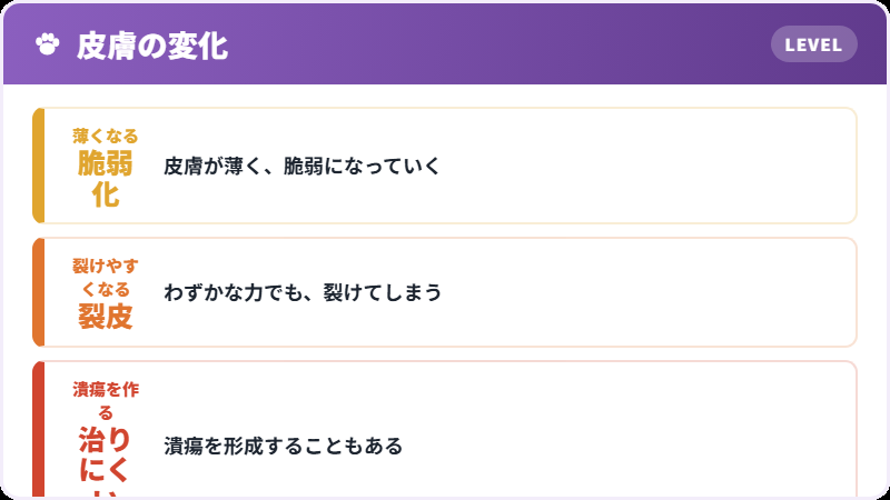皮膚に起こること