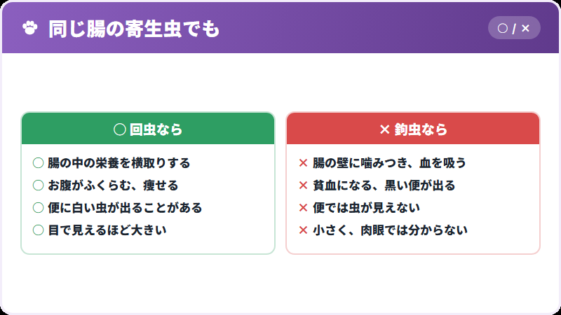 回虫との違い