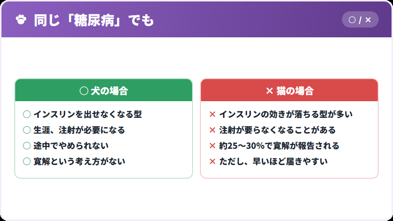 犬と猫の糖尿病の違い