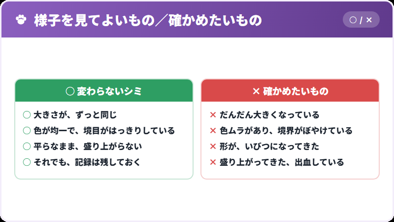 良性のシミと、疑わしいもの