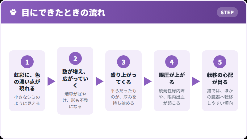 目のメラノーマの進み方