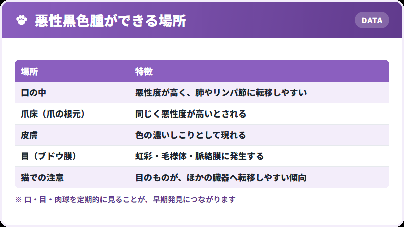 できやすい場所