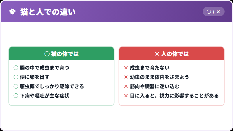 人に入ったとき