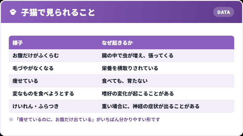 子猫に出るサイン