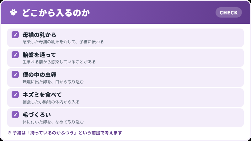 感染経路
