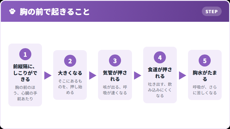 前縦隔にできると