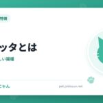 ジェネッタとは