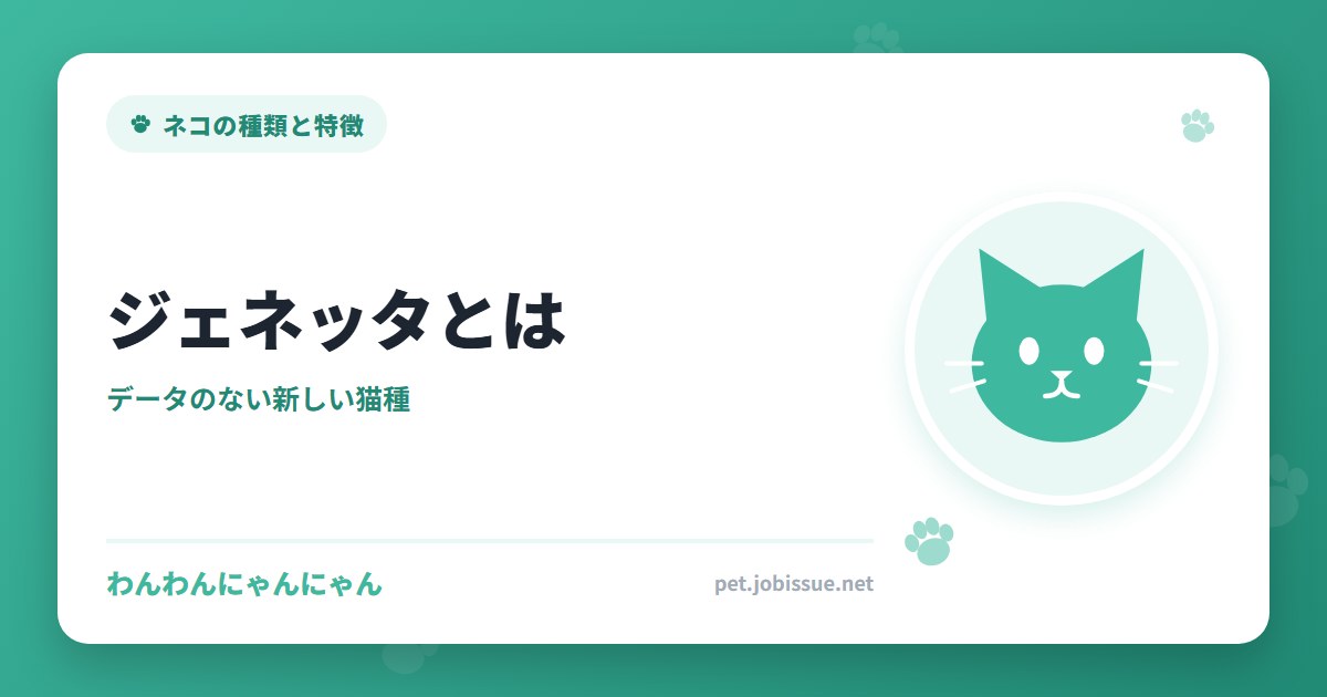 ジェネッタとは