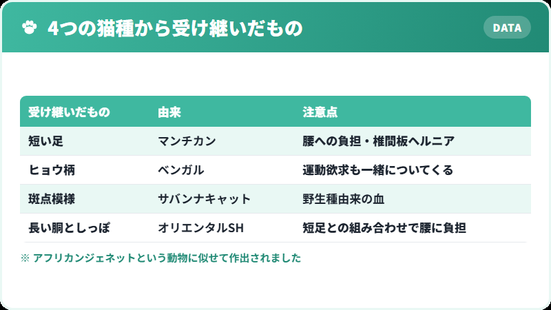 ジェネッタが受け継いだ4つの猫種の特徴