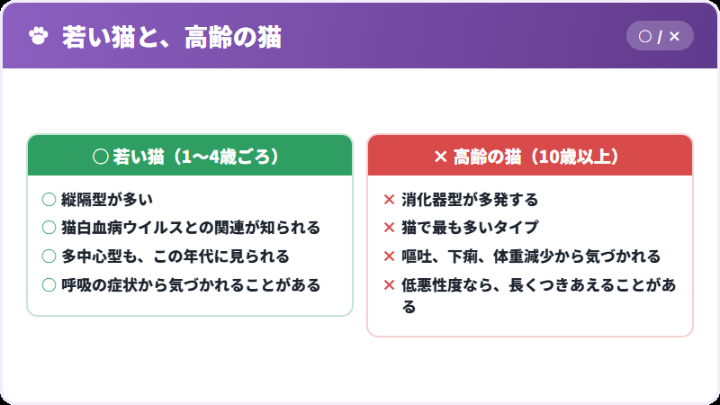 年齢による違い