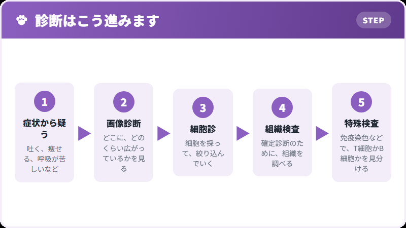 診断の進め方