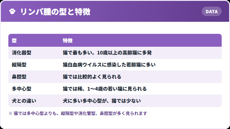 型ごとの特徴