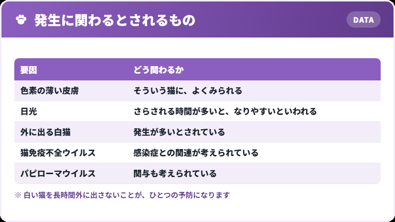 関わっている要因