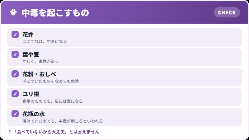 危険な部位