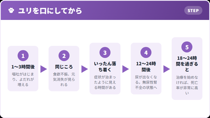 時間の経過