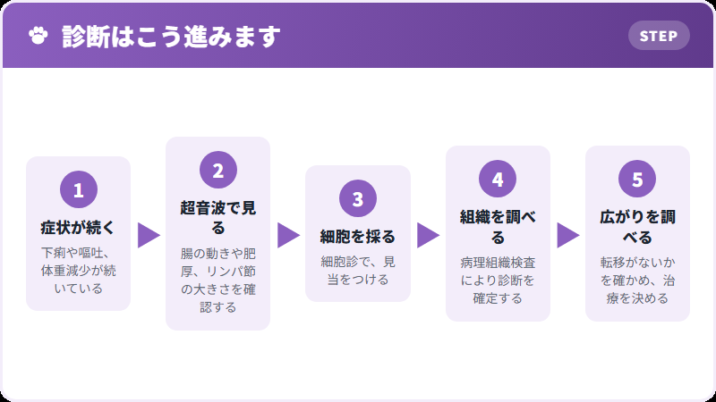 診断の流れ