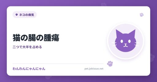 猫の腸の腫瘍