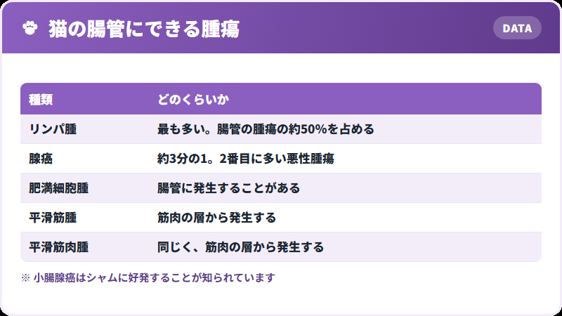 腸にできる腫瘍の種類