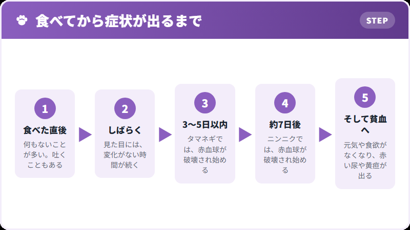 症状が出るまで