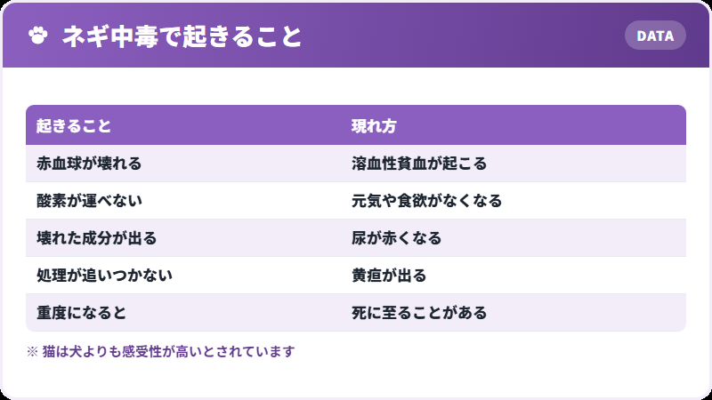 体で起きること
