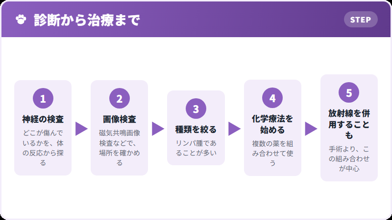治療の進め方