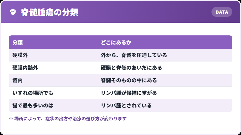 場所による分類