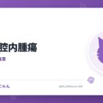 猫の鼻腔内腫瘍