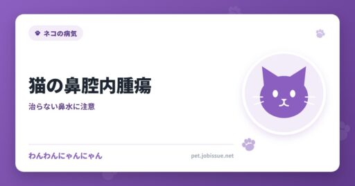 猫の鼻腔内腫瘍