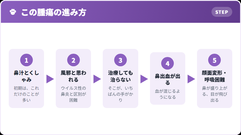 進み方