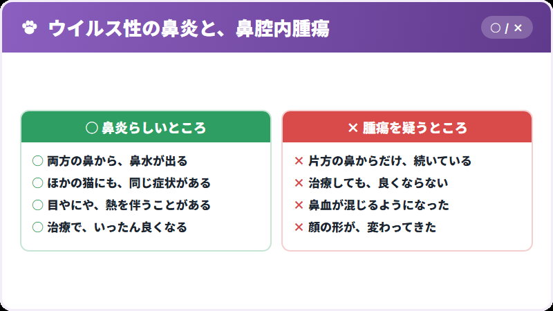 鼻炎と腫瘍の違い