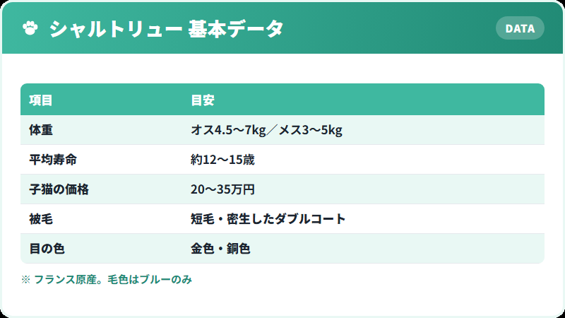 シャルトリューの基本データ 体重・寿命・価格の一覧