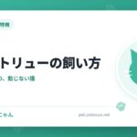 シャルトリューの飼い方