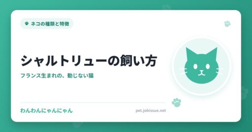シャルトリューの飼い方