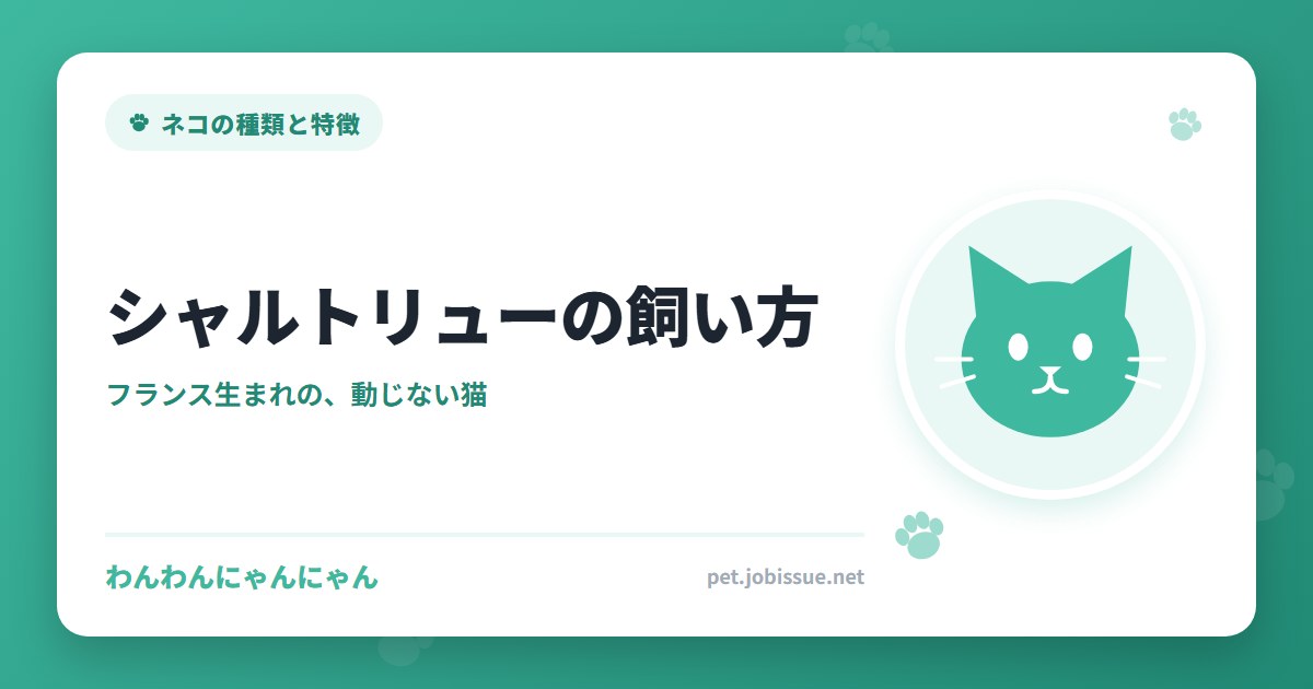 シャルトリューの飼い方
