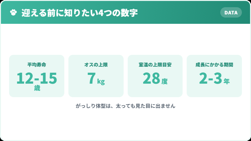 シャルトリューを迎える前に知っておきたい4つの数字