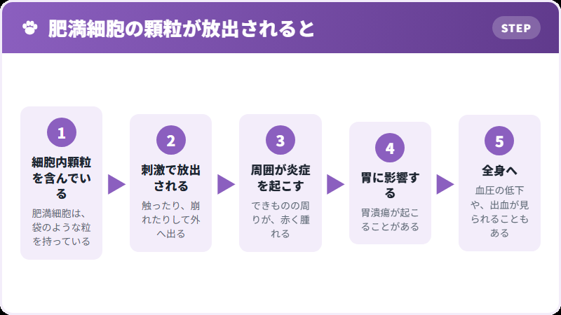 細胞内顆粒が起こすこと