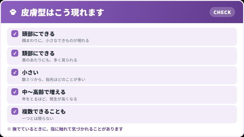 皮膚型の見つけ方