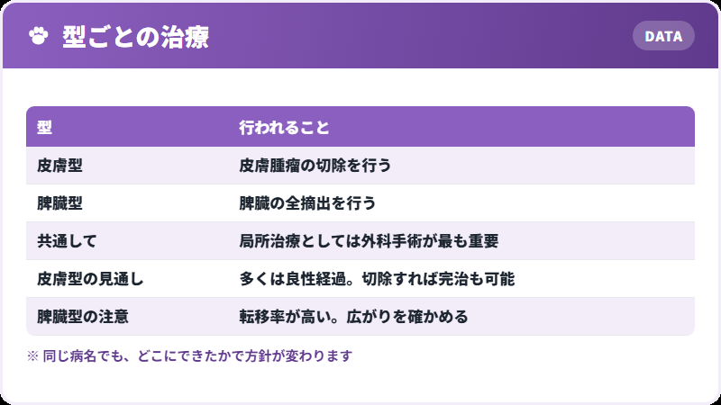 治療の中身