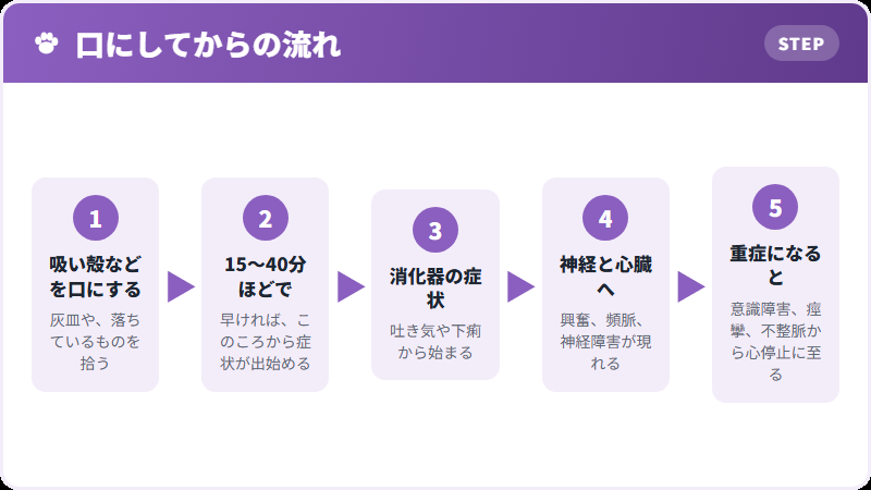 時間の経過