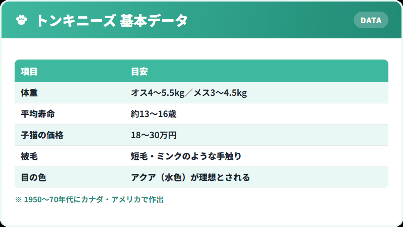 トンキニーズの基本データ 体重・寿命・価格の一覧