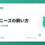 トンキニーズの飼い方
