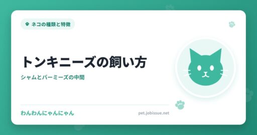 トンキニーズの飼い方