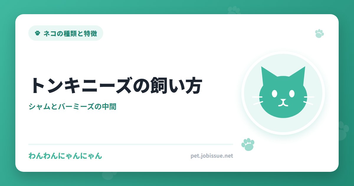 トンキニーズの飼い方