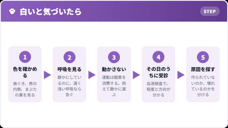 気づいてからの流れ