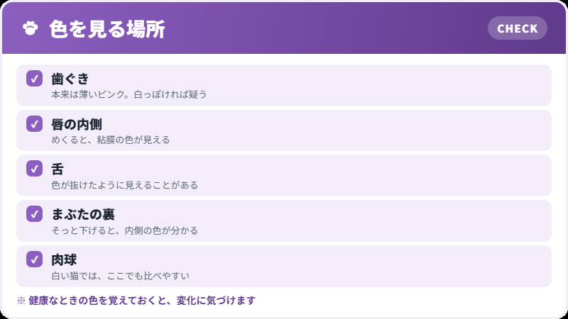 家で見る場所
