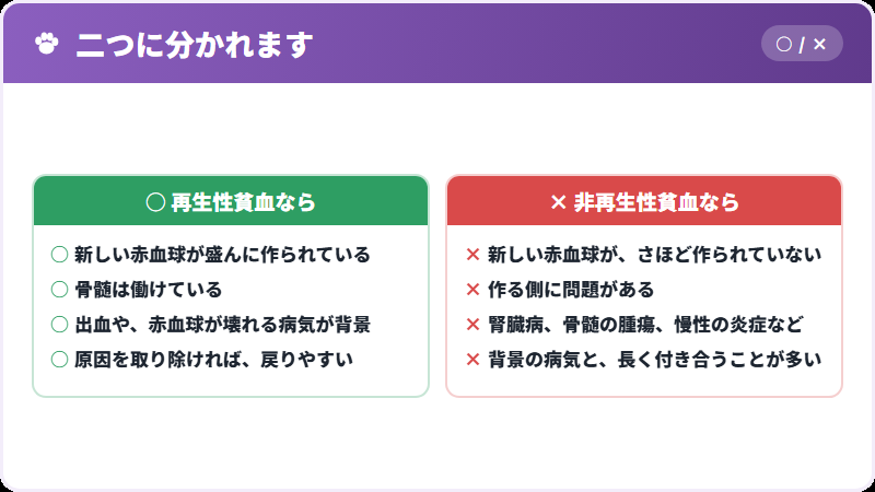 再生性と非再生性