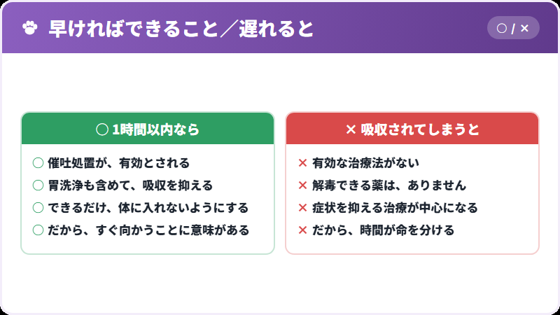 時間との勝負